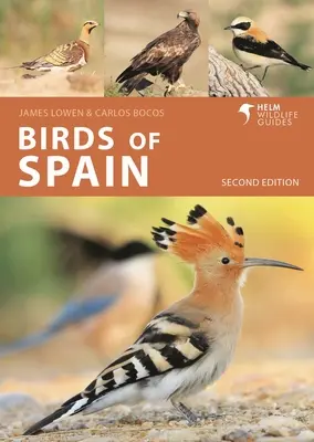 Aves de España: Segunda Edición - Birds of Spain: Second Edition