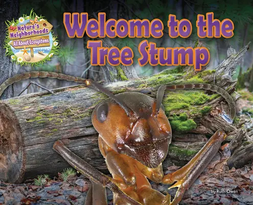 Bienvenidos al tocón del árbol - Welcome to the Tree Stump