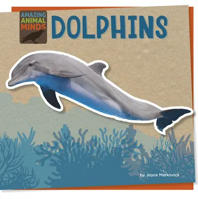 Delfines - Dolphins