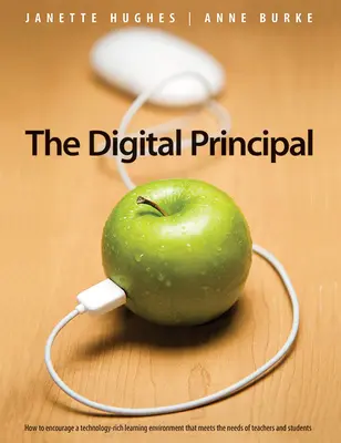 Director digital - Digital Principal