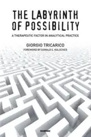 El laberinto de la posibilidad: Un factor terapéutico en la práctica analítica - The Labyrinth of Possibility: A Therapeutic Factor in Analytical Practice