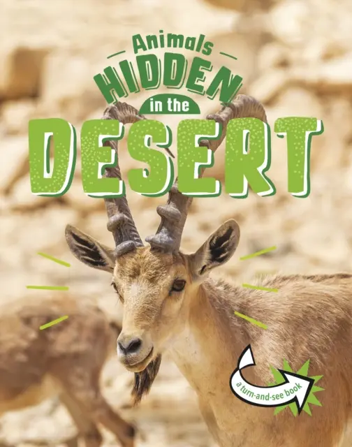 Animales ocultos en el desierto - Animals Hidden in the Desert