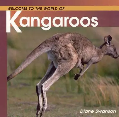 Bienvenidos al mundo de los canguros - Welcome to the World of Kangaroos