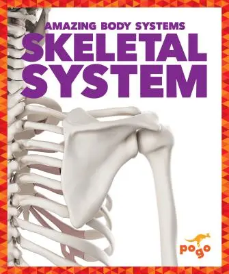 Sistema esquelético - Skeletal System