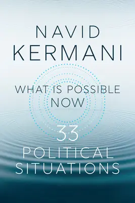 Lo que es posible ahora: 33 situaciones políticas - What Is Possible Now: 33 Political Situations