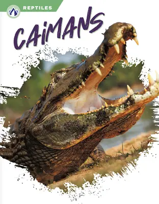 Caimanes - Caimans