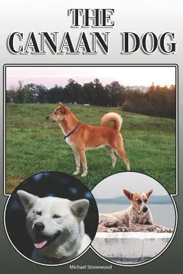 El perro Canaan: A Complete and Comprehensive Owners Guide To: La compra, la propiedad, la salud, el aseo, el adiestramiento, la obediencia, la comprensi - The Canaan Dog: A Complete and Comprehensive Owners Guide To: Buying, Owning, Health, Grooming, Training, Obedience, Understanding and