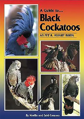 Guía de la cacatúa negra como ave de compañía y de aviario - A Guide to Black Cockatoos as Pet & Aviary Birds