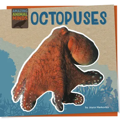 Pulpos - Octopuses