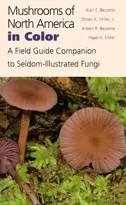 Mushrooms of North America in Color: A Field Guide Companion to Seldom-Illustrated Fungi (Hongos de Norteamérica en color: Guía de campo complementaria de hongos raramente ilustrados) - Mushrooms of North America in Color: A Field Guide Companion to Seldom-Illustrated Fungi