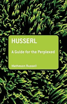 Husserl: Guía para perplejos - Husserl: A Guide for the Perplexed
