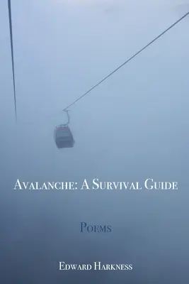 Avalancha: Guía de supervivencia - Avalanche: A Survival Guide