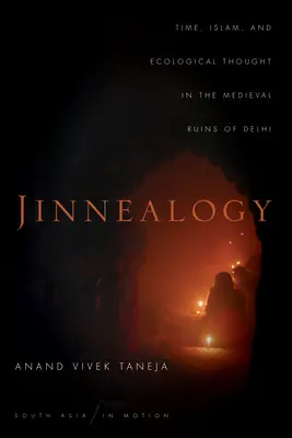 Jinnealogía: Tiempo, Islam y pensamiento ecológico en las ruinas medievales de Delhi - Jinnealogy: Time, Islam, and Ecological Thought in the Medieval Ruins of Delhi