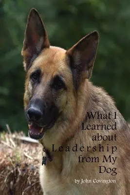 Lo que aprendí de mi perro sobre el liderazgo - What I Learned About Leadership From My Dog