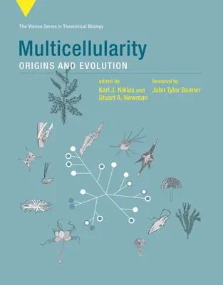 Multicelularidad: Orígenes y evolución - Multicellularity: Origins and Evolution