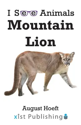 León de montaña - Mountain Lion