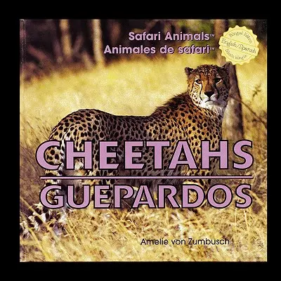 Guepardos - Cheetahs/Guepardos