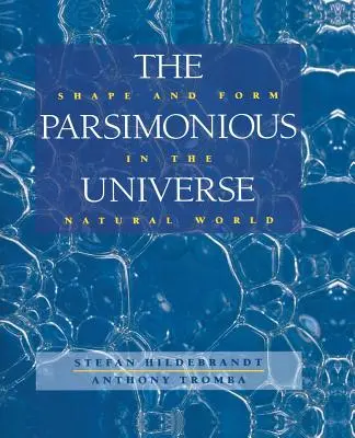 El universo parsimonioso: Forma y figura en el mundo natural - The Parsimonious Universe: Shape and Form in the Natural World