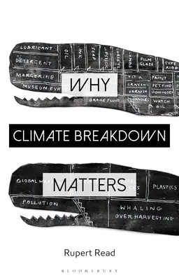 Por qué es importante el cambio climático - Why Climate Breakdown Matters