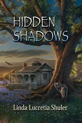 Sombras ocultas - Hidden Shadows