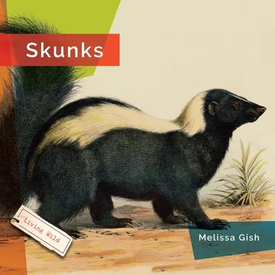 Mofetas - Skunks