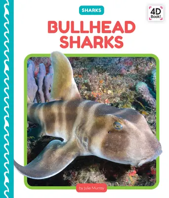 Tiburones toro - Bullhead Sharks