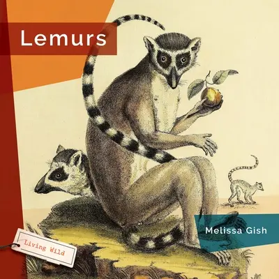 Lémures - Lemurs