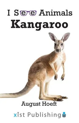 Canguro - Kangaroo