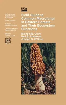 Guía de campo de los macrohongos comunes en los bosques orientales y su función en el ecosistema - Field Guide to Common Macrofungi in Eastern Forests and Their Ecosystem Function