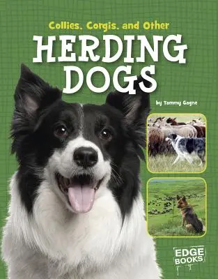 Collies, Corgies y otros perros pastores - Collies, Corgies, and Other Herding Dogs