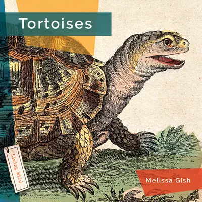 Tortugas - Tortoises