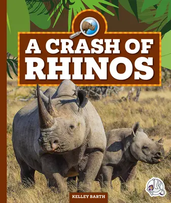 Un choque de rinocerontes - A Crash of Rhinos