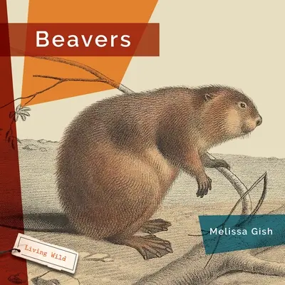 Castores - Beavers