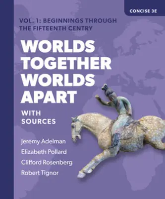 Mundos juntos, mundos separados: Una historia del mundo desde los orígenes de la humanidad hasta nuestros días - Worlds Together, Worlds Apart: A History of the World from the Beginnings of Humankind to the Present