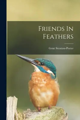 Amigos de plumas - Friends In Feathers