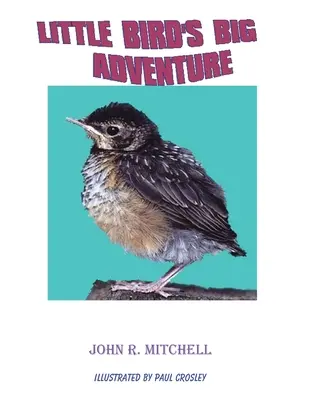 La gran aventura de Pajarito - Little Bird's Big Adventure