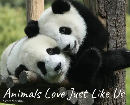 Los Animales Aman Igual Que Nosotros - Animals Love Just Like Us