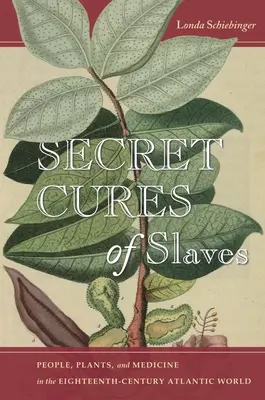 Las curas secretas de los esclavos: Personas, plantas y medicina en el mundo atlántico del siglo XVIII - Secret Cures of Slaves: People, Plants, and Medicine in the Eighteenth-Century Atlantic World