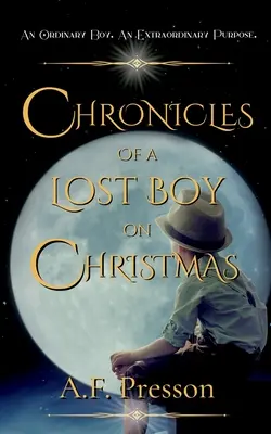 Crónicas de un niño perdido en Navidad - Chronicles of a Lost Boy on Christmas