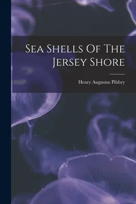 Conchas marinas de la costa de Jersey - Sea Shells Of The Jersey Shore