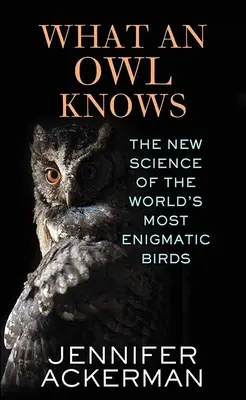 Lo que sabe un búho - What an Owl Knows