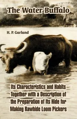 El búfalo de agua: Características y hábitos del búfalo de agua, junto con una descripción de la preparación de su piel para hacer picos de telar de cuero crudo. - The Water Buffalo: Its Characteristics and Habits Together with a Description of the Preparation of Its Hide for Making Rawhide Loom Pick