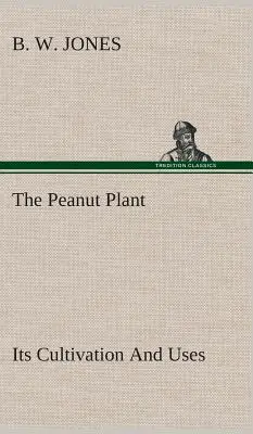 La planta del cacahuete: cultivo y usos - The Peanut Plant Its Cultivation And Uses