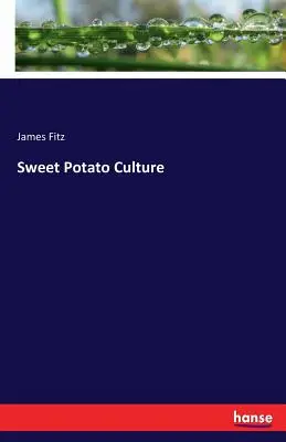 Cultura de la batata - Sweet Potato Culture