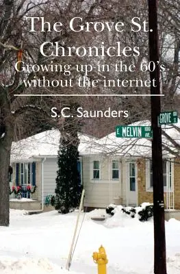 Crónicas de Grove St: Crecer en los años 60 sin Internet - The Grove St. Chronicles: Growing up in the 60's without the internet