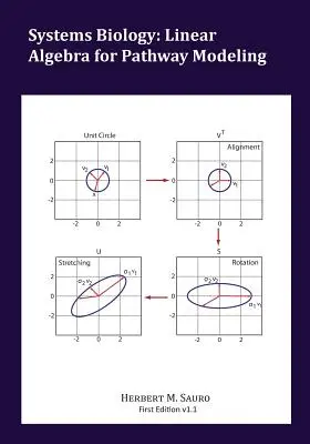 Biología de sistemas: Álgebra lineal para la modelización de rutas - Systems Biology: Linear Algebra for Pathway Modeling