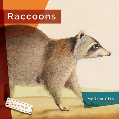 Mapaches - Raccoons