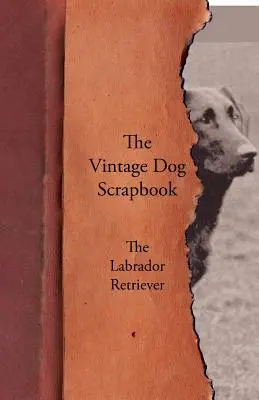The Vintage Dog Scrapbook - El Labrador Retriever - The Vintage Dog Scrapbook - The Labrador Retriever