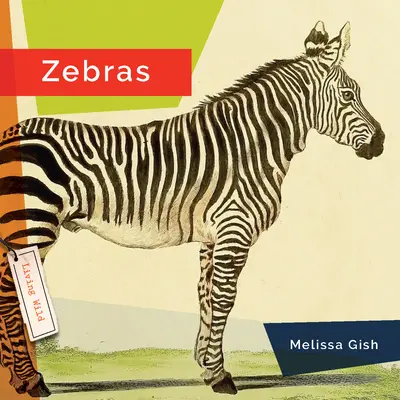 Cebras - Zebras