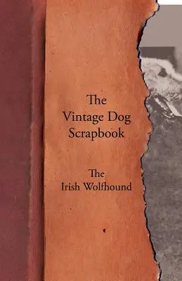 El álbum de recortes de perros de época - El lobero irlandés - The Vintage Dog Scrapbook - The Irish Wolfhound
